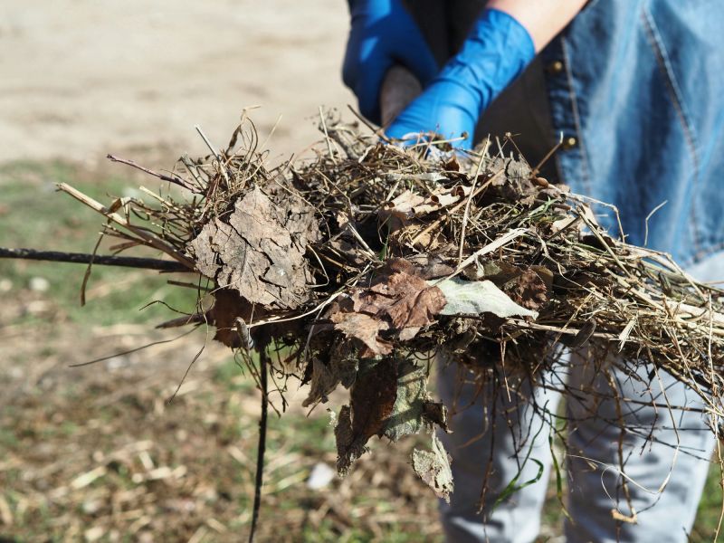Gathered Leaves and Debris