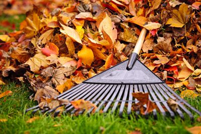 Tools for Fall Lawn Maintenance