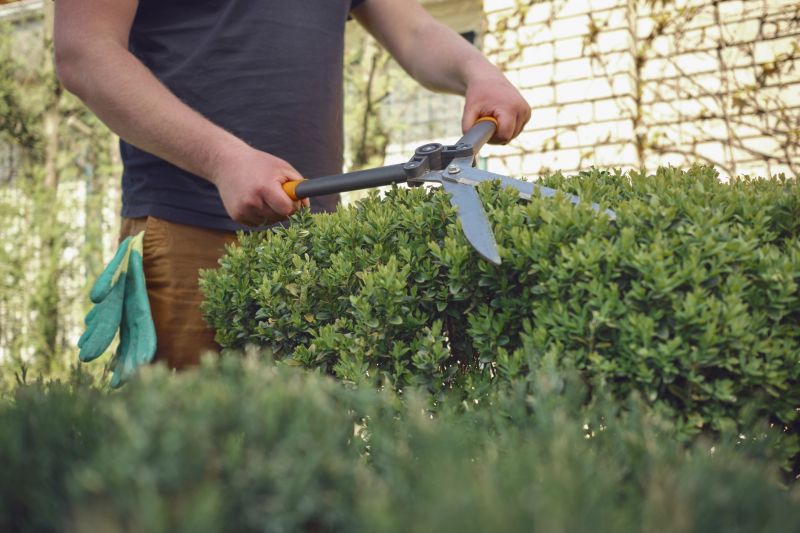 Shrub Care Tools